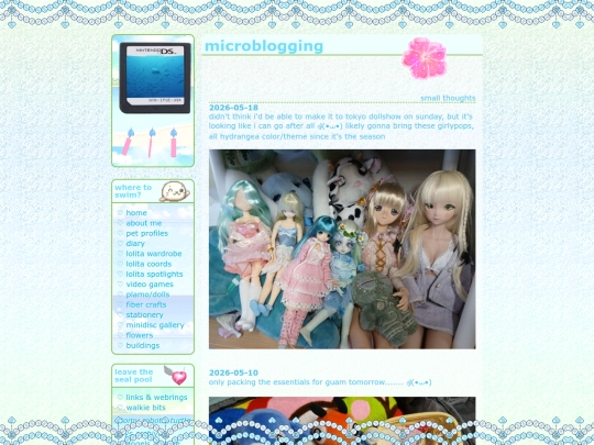 diary/micro screenshot