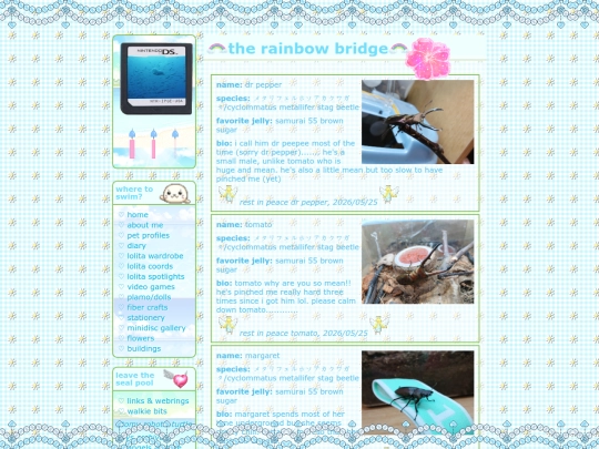 rainbowbridge screenshot