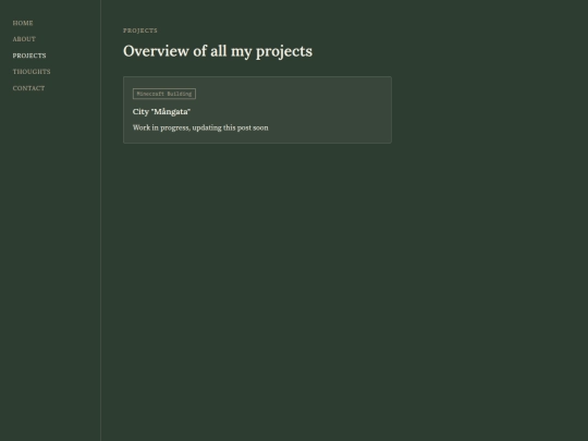 projects screenshot