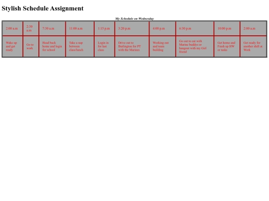 Stylish Schedule Assignment/Stylish.Schedule.Assignment screenshot