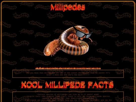 millipedes screenshot