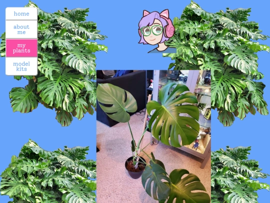 plantgallery screenshot