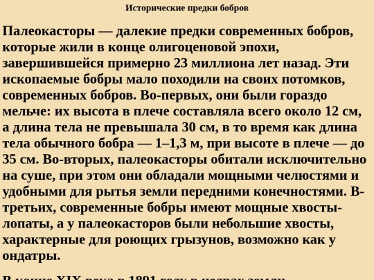 3 screenshot