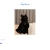 The web site of saphira avatar