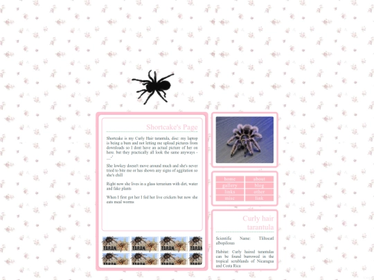shortcake screenshot