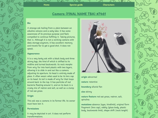 camera screenshot