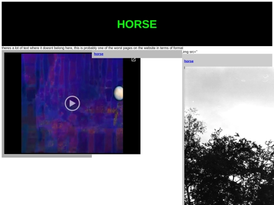 horse screenshot