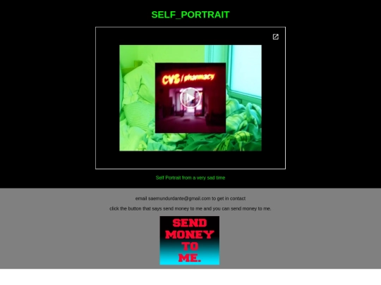 selfportrait screenshot