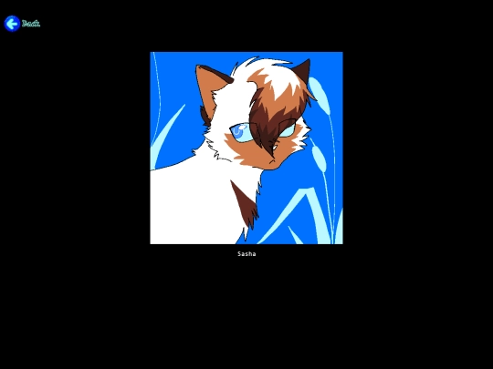 sasha screenshot