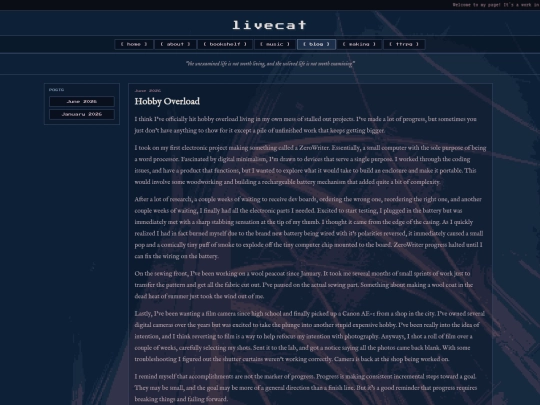 blog screenshot
