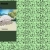 squawkinator.yorniq.xyz avatar