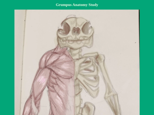 BuddyGallery/AnatomyStudy screenshot