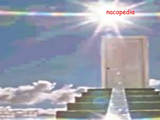 nacopedia-entrance screenshot