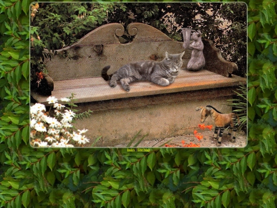 test screenshot