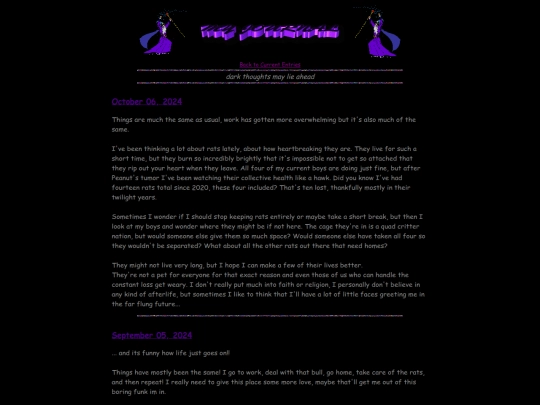 diary/2024 screenshot