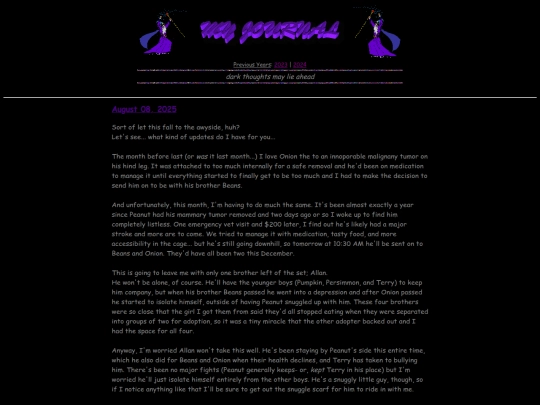diary/2025 screenshot