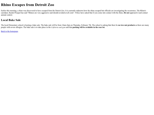 News-HTML screenshot