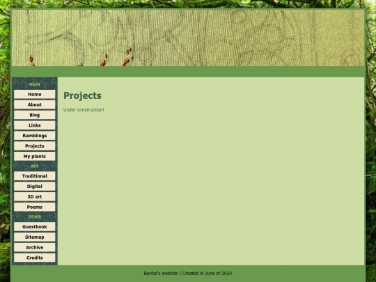 projects screenshot