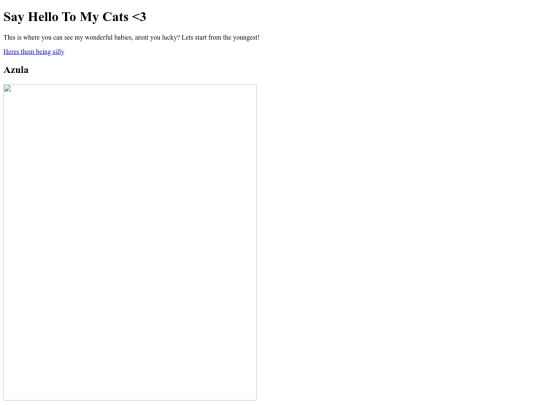 firtpage screenshot