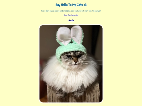 webpage 1/firstpage screenshot