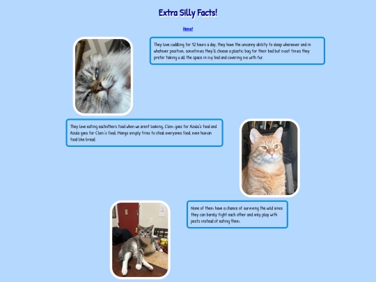 webpage 1/flex screenshot