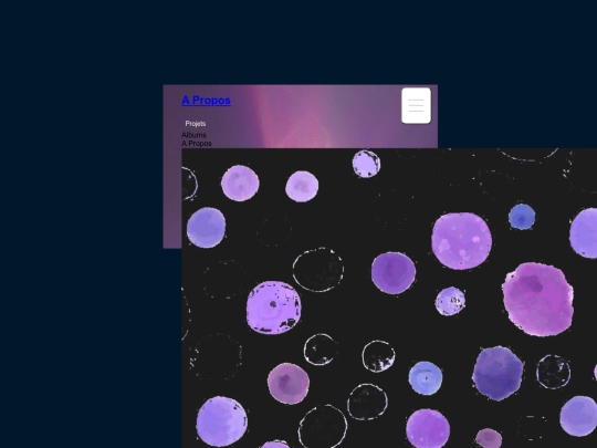 Testsitepage2 screenshot