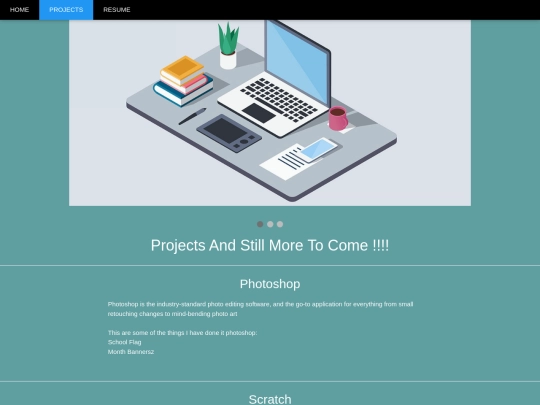 Portfolio Website/projects screenshot