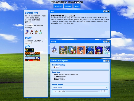 chat screenshot