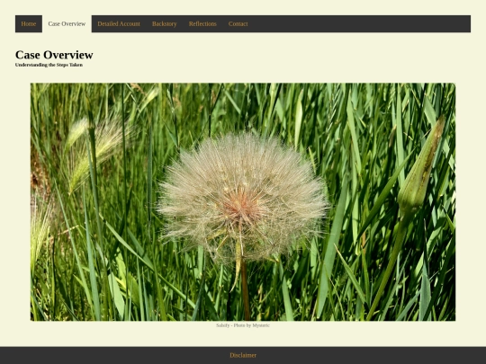case-overview screenshot