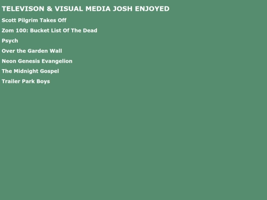 televisionvisualmedia screenshot