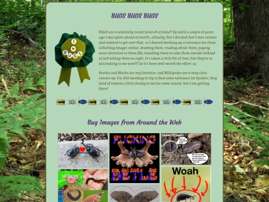 Pages/bugs screenshot