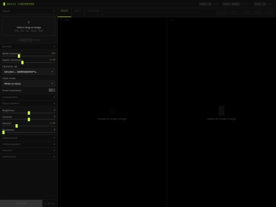 ascii screenshot
