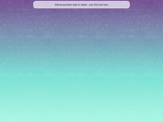 kennels screenshot