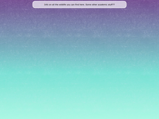 library screenshot