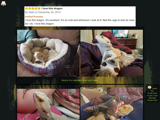 pets/gallery2 screenshot