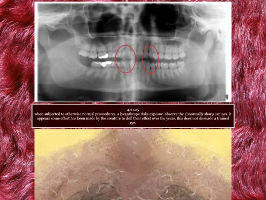 images screenshot