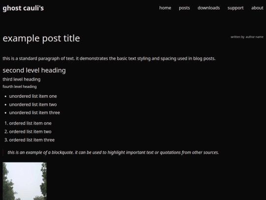 posts/template screenshot