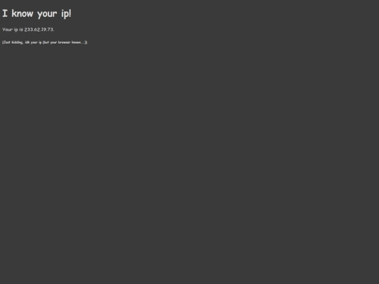 silly/ip-found screenshot