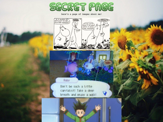 secret screenshot