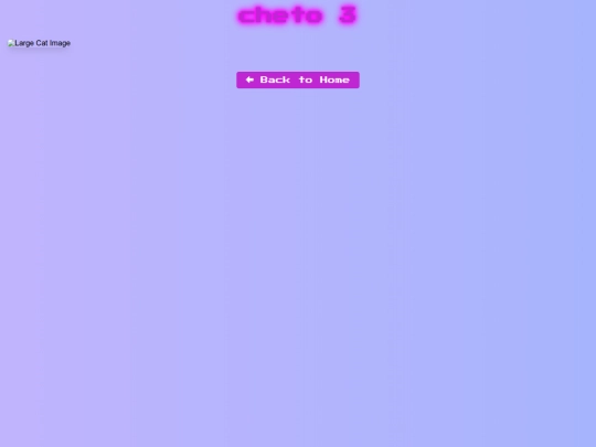 Pages/Desktop-Pages/Cheto_zone/page3 screenshot