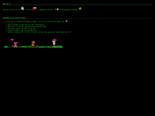 Pages/Desktop-Pages/WhoAmI/home screenshot