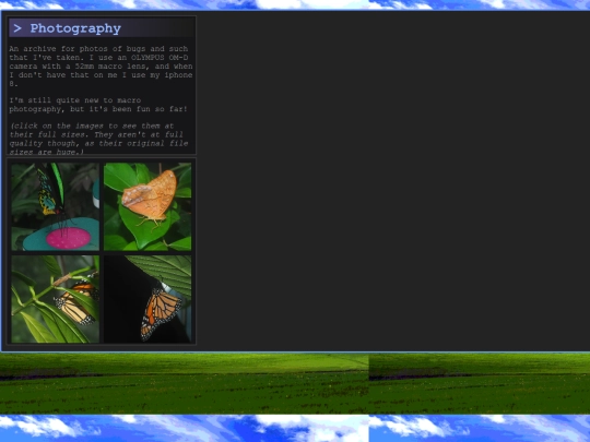 media/photography screenshot