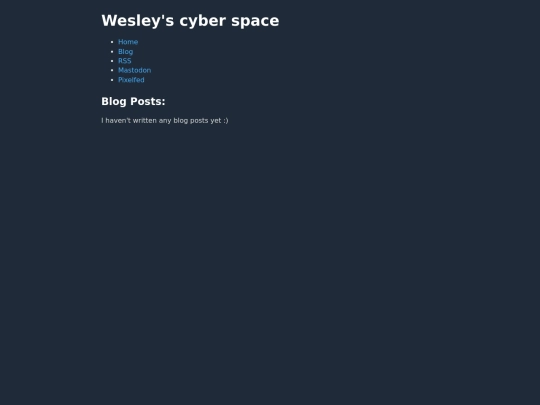 blog screenshot
