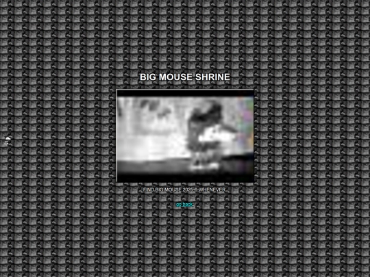bigmouse screenshot