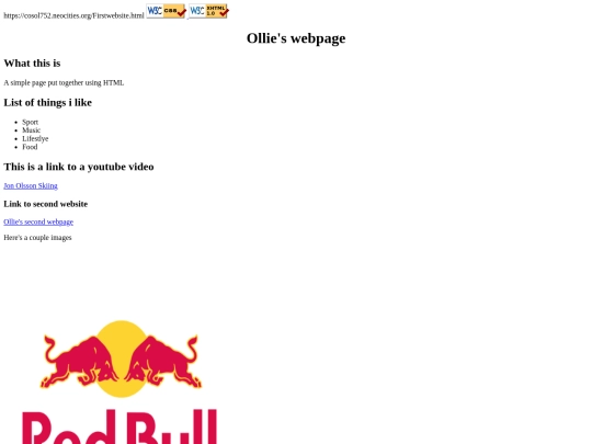 Firstwebsite screenshot