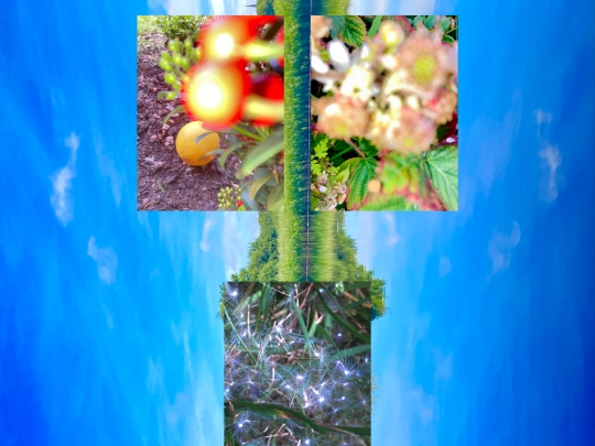 close screenshot