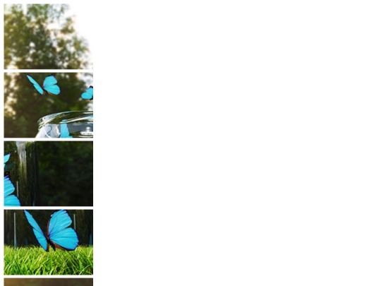 Flexablepuzzle screenshot