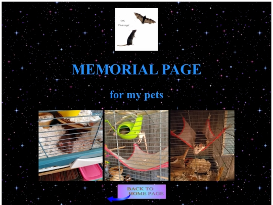 memorial screenshot