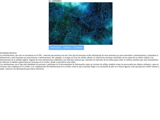 interneuronas screenshot