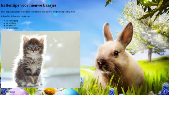 kattentips screenshot